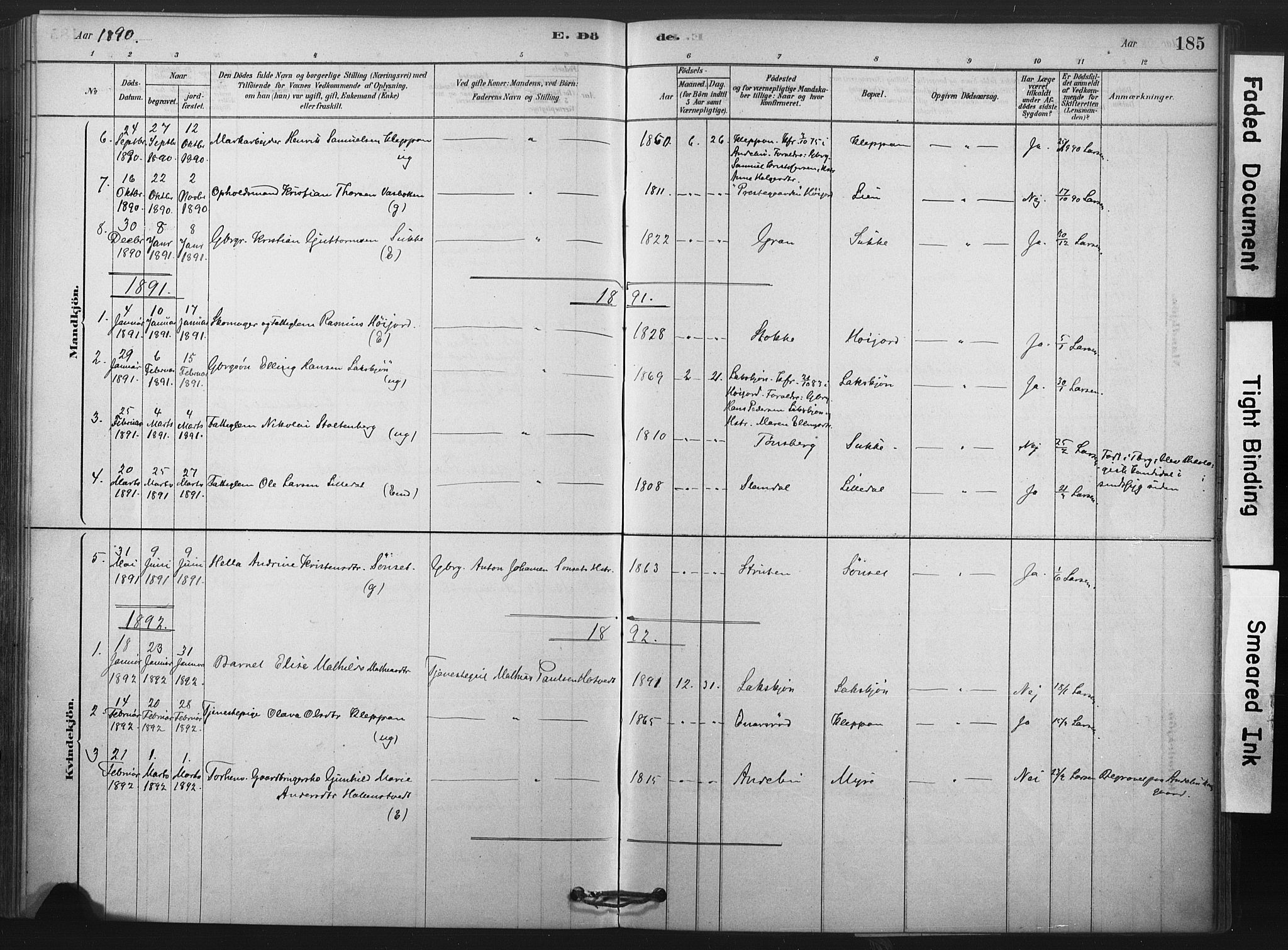 Andebu kirkebøker, SAKO/A-336/F/Fa/L0009: Parish register (official) no. 9, 1878-1909, p. 185