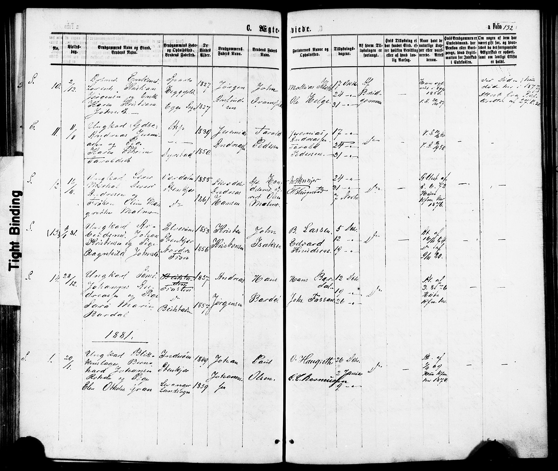 Ministerialprotokoller, klokkerbøker og fødselsregistre - Nord-Trøndelag, SAT/A-1458/739/L0370: Parish register (official) no. 739A02, 1868-1881, p. 132