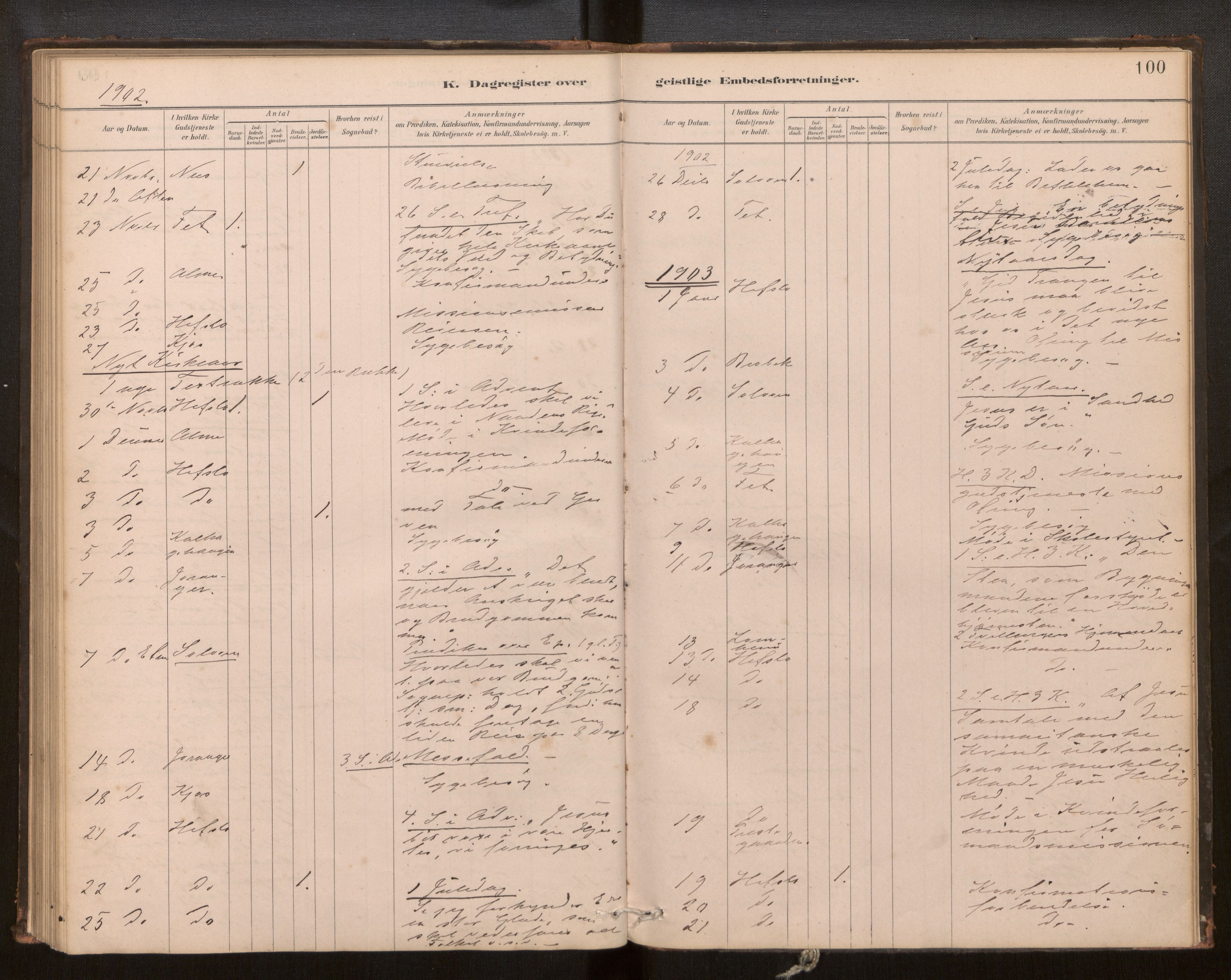 Hafslo sokneprestembete, SAB/A-80301/H/Haa/Haaf/L0003: Diary records no. F 3, 1879-1909, p. 100