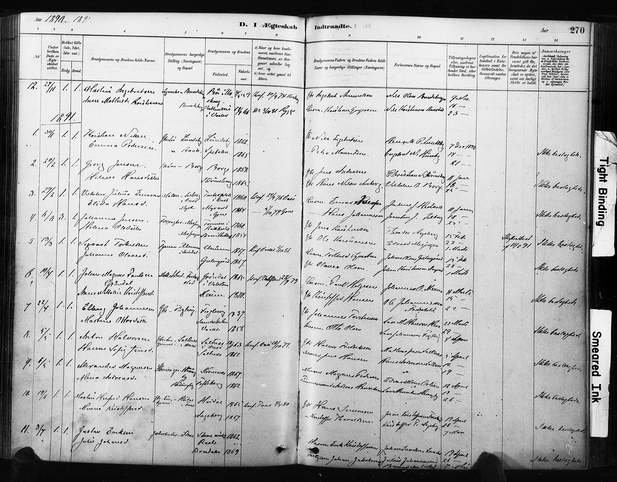 Råde prestekontor kirkebøker, AV/SAO-A-2009/F/Fa/L0007: Parish register (official) no. 7, 1878-1902, p. 270