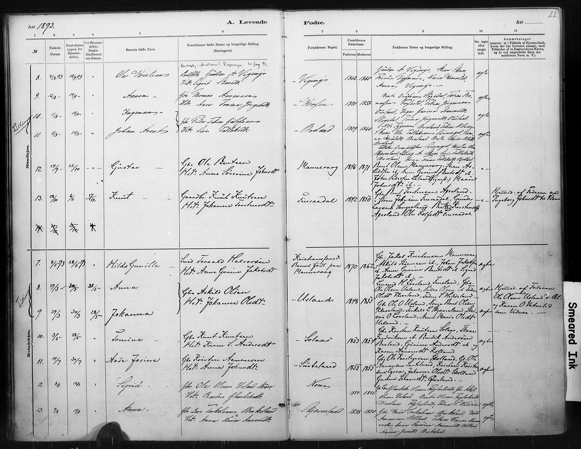 Holum sokneprestkontor, AV/SAK-1111-0022/F/Fa/Fac/L0004: Parish register (official) no. A 4, 1884-1907, p. 22