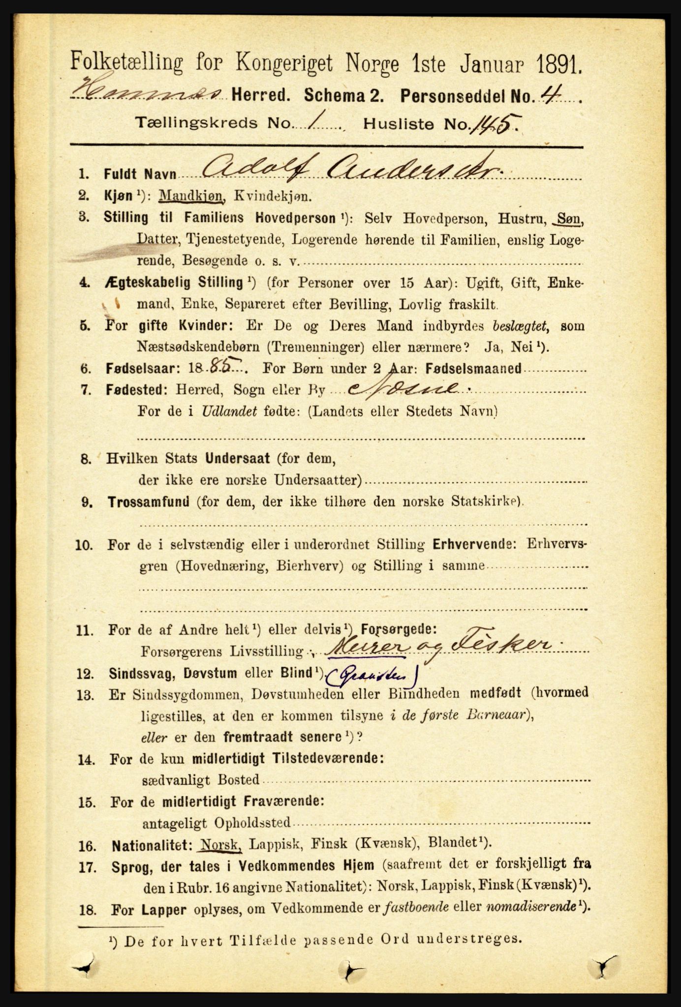 RA, 1891 census for 1832 Hemnes, 1891, p. 1067