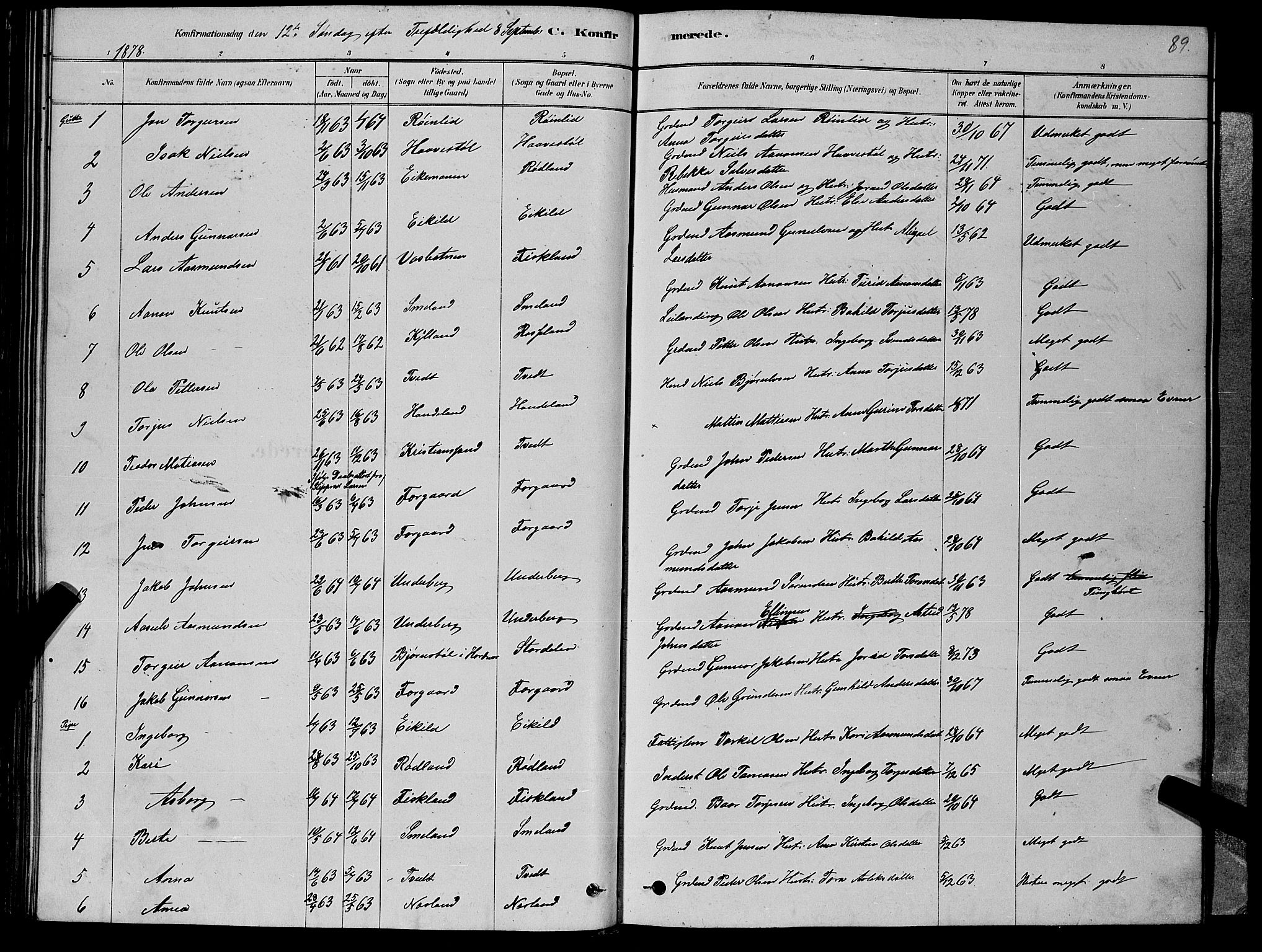 Åseral sokneprestkontor, SAK/1111-0051/F/Fb/L0002: Parish register (copy) no. B 2, 1878-1899, p. 89