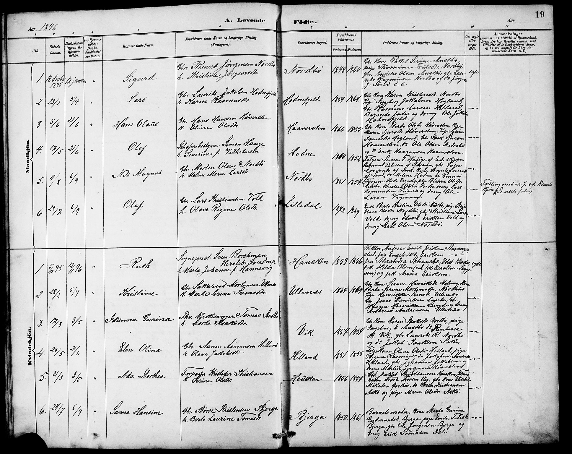 Rennesøy sokneprestkontor, SAST/A -101827/H/Ha/Hab/L0010: Parish register (copy) no. B 9, 1890-1918, p. 19