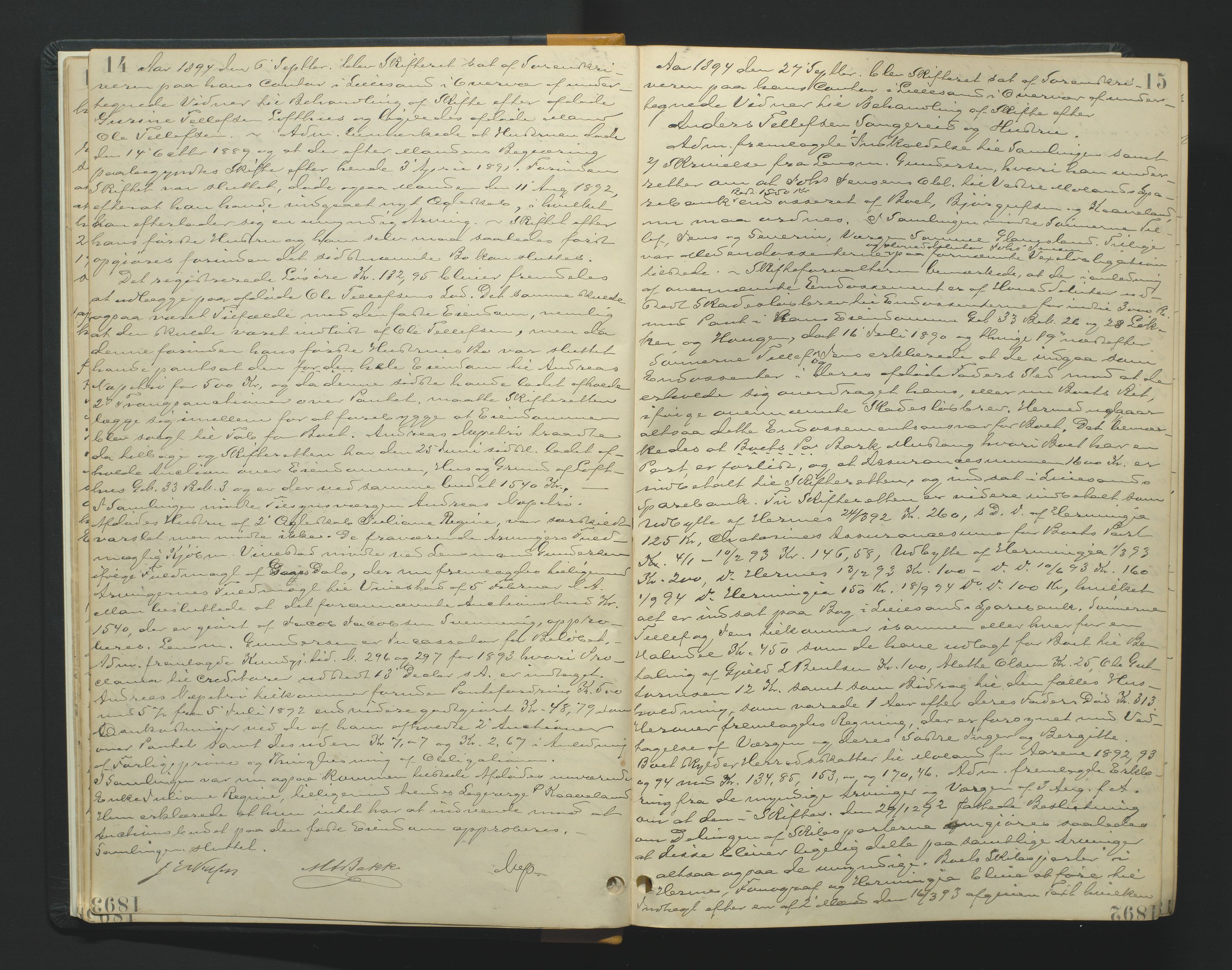 Vestre Nedenes/Sand sorenskriveri, AV/SAK-1221-0010/H/Hc/L0007: Skifteforhandlingsprotokoll nr. 5, 1894-1916, p. 14-15