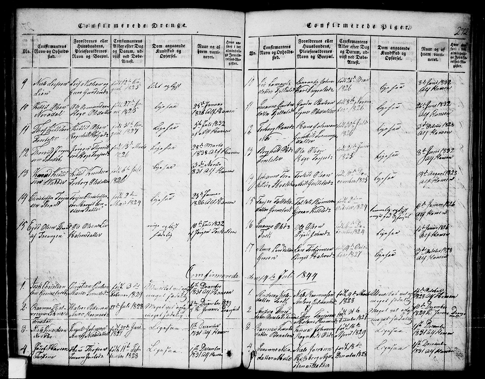 Nissedal kirkebøker, SAKO/A-288/G/Ga/L0001: Parish register (copy) no. I 1, 1814-1860, p. 272