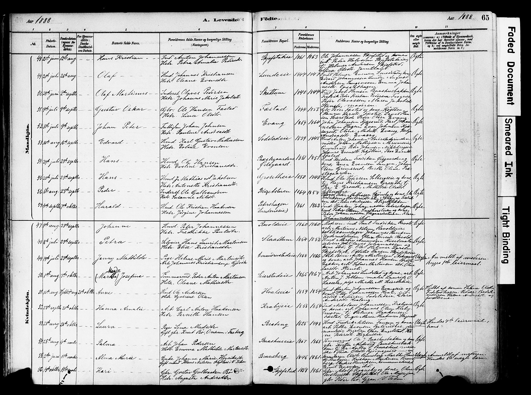 Østre Toten prestekontor, SAH/PREST-104/H/Ha/Haa/L0006: Parish register (official) no. 6 /1, 1878-1896, p. 65