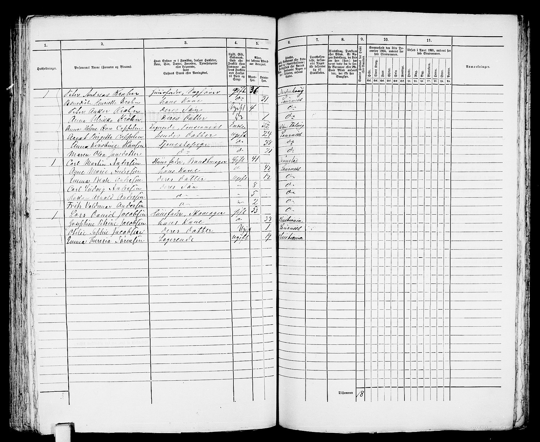 RA, 1865 census for Larvik, 1865, p. 456