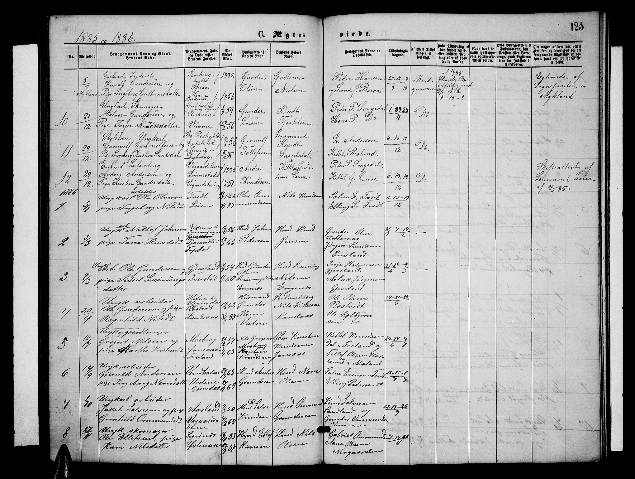 Åmli sokneprestkontor, SAK/1111-0050/F/Fb/Fbc/L0003: Parish register (copy) no. B 3, 1868-1888, p. 125