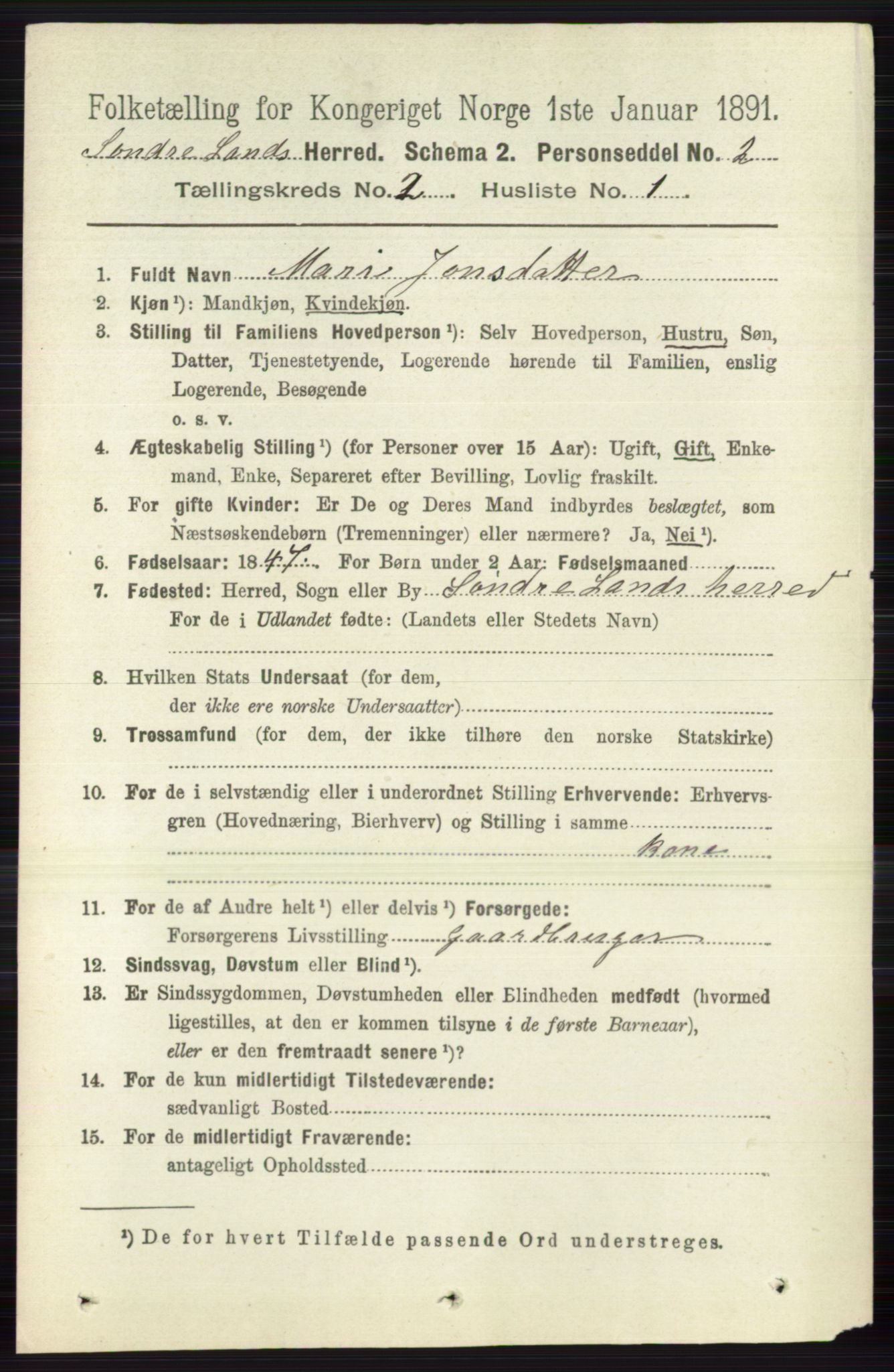 RA, 1891 census for 0536 Søndre Land, 1891, p. 1029