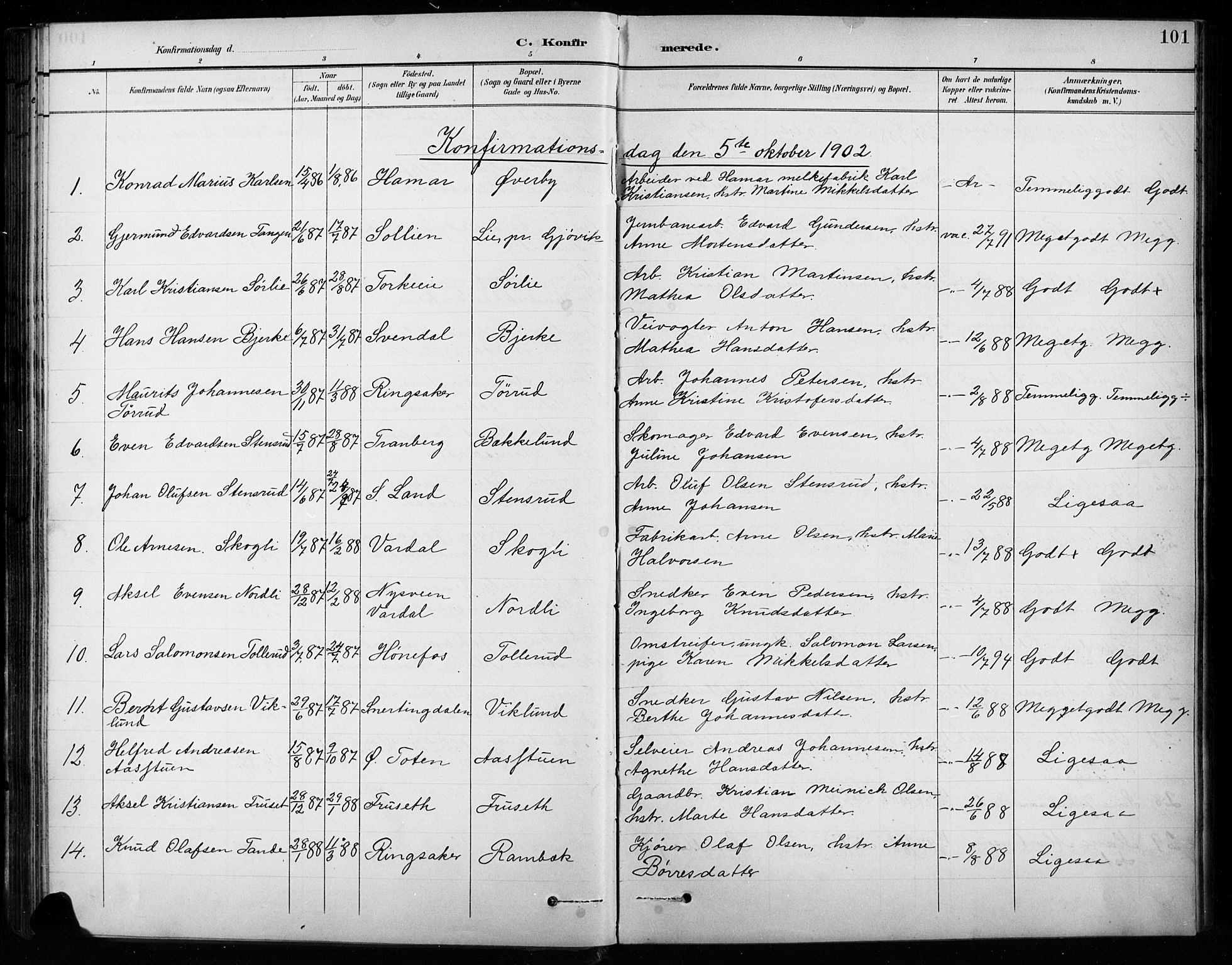 Vardal prestekontor, SAH/PREST-100/H/Ha/Hab/L0010: Parish register (copy) no. 10, 1895-1903, p. 101