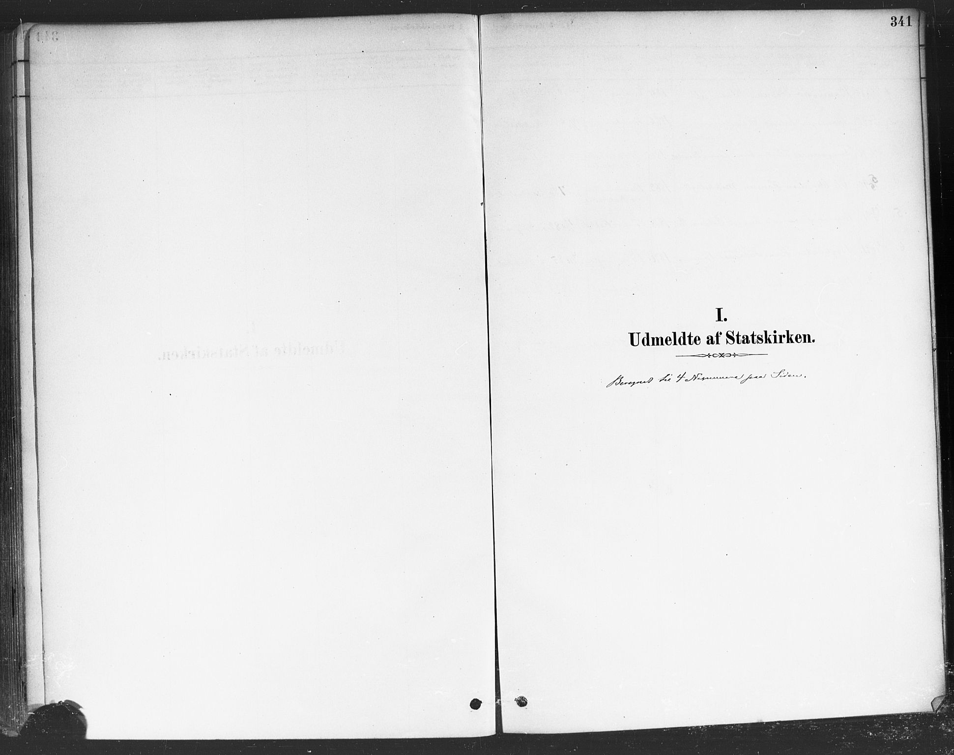 Rakkestad prestekontor Kirkebøker, AV/SAO-A-2008/F/Fa/L0012: Parish register (official) no. I 12, 1878-1893, p. 341