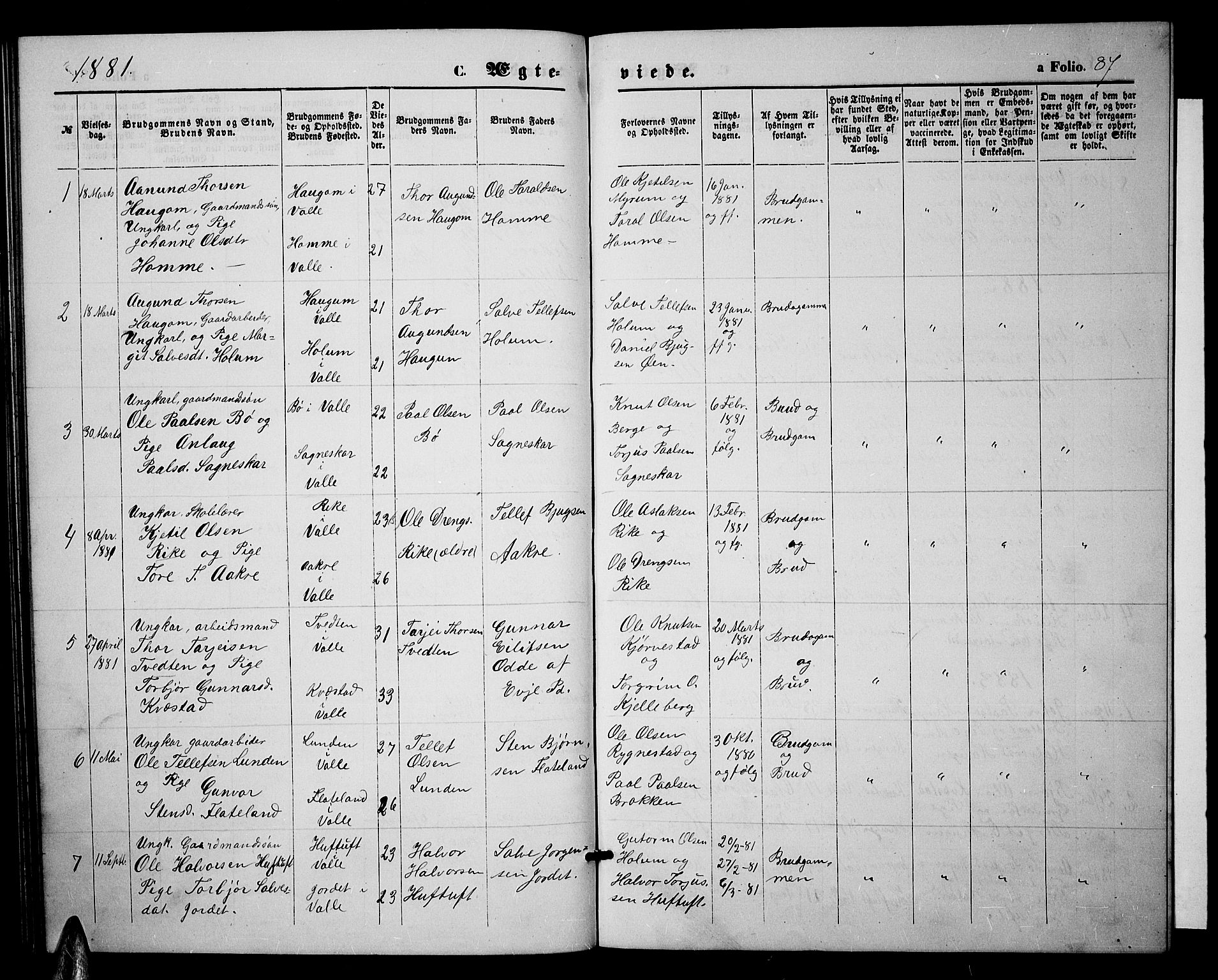 Valle sokneprestkontor, SAK/1111-0044/F/Fb/Fbc/L0003: Parish register (copy) no. B 3, 1871-1890, p. 87
