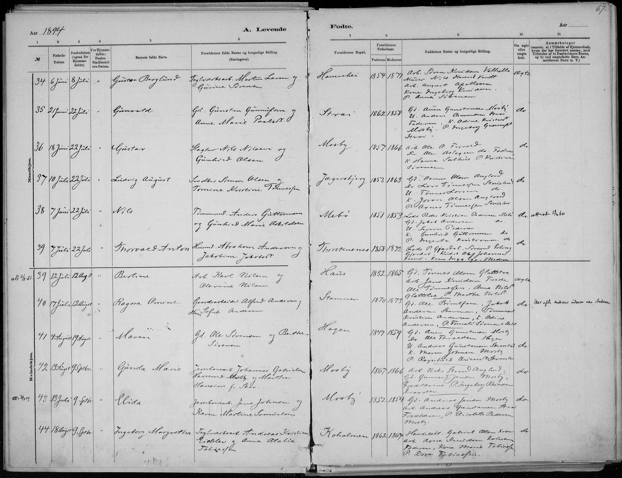 Oddernes sokneprestkontor, AV/SAK-1111-0033/F/Fa/Faa/L0009: Parish register (official) no. A 9, 1884-1896, p. 67