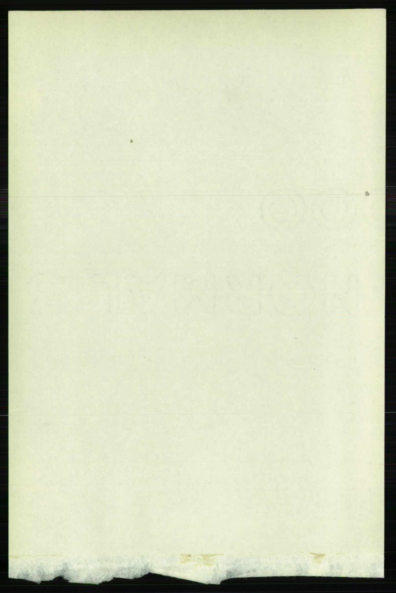 RA, 1891 census for 1104 Skudeneshavn, 1891, p. 963