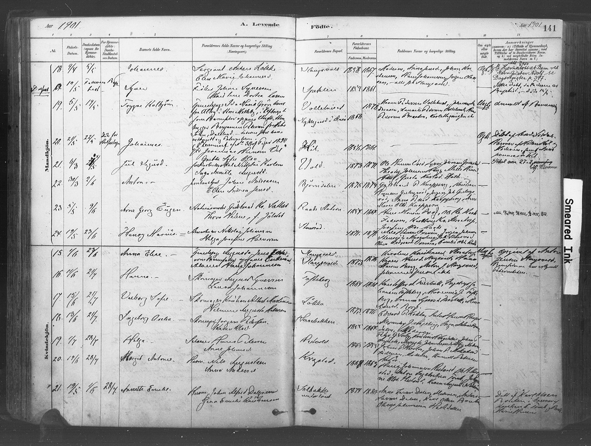 Råde prestekontor kirkebøker, AV/SAO-A-2009/F/Fa/L0007: Parish register (official) no. 7, 1878-1902, p. 141