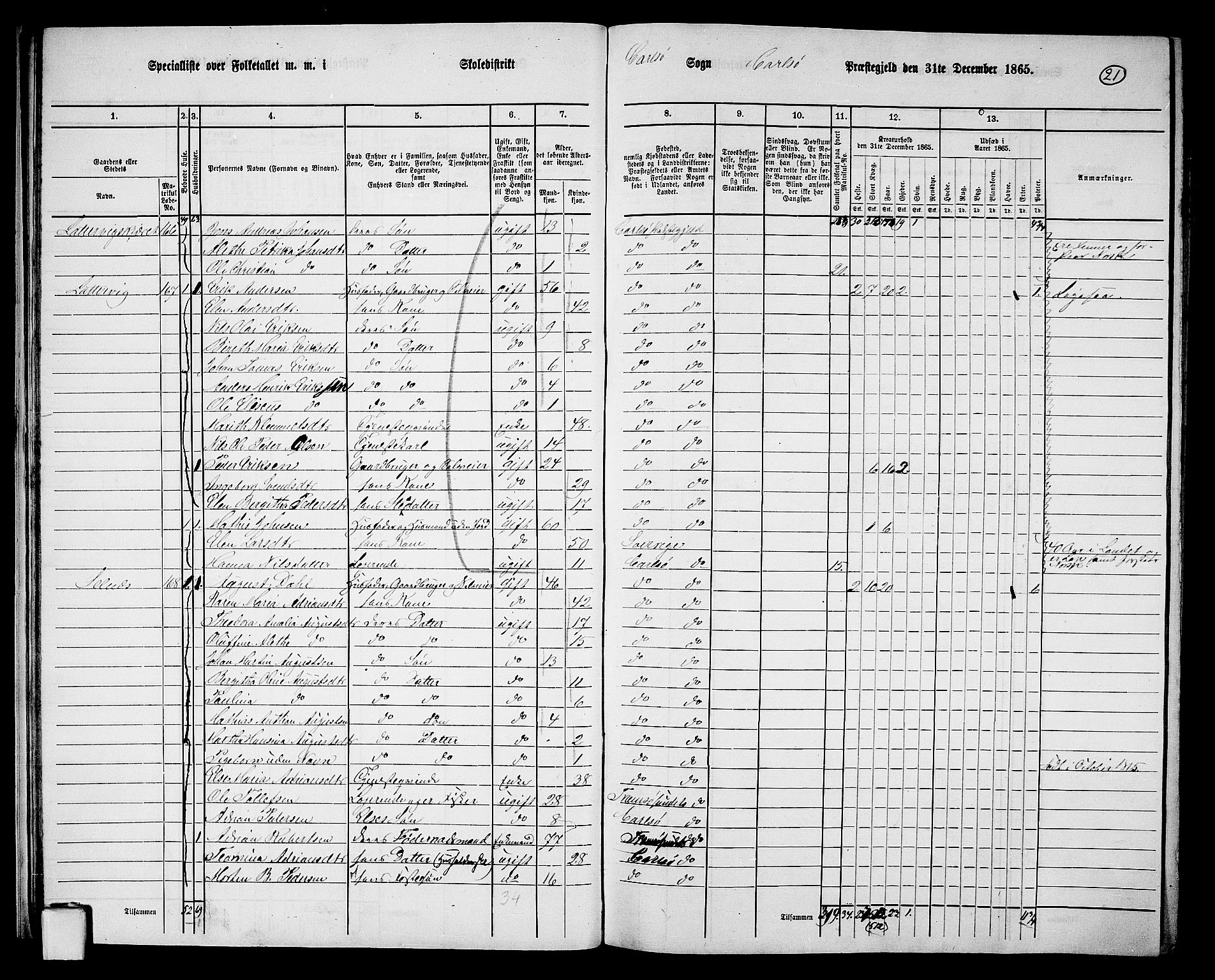 RA, 1865 census for Karlsøy, 1865, p. 20