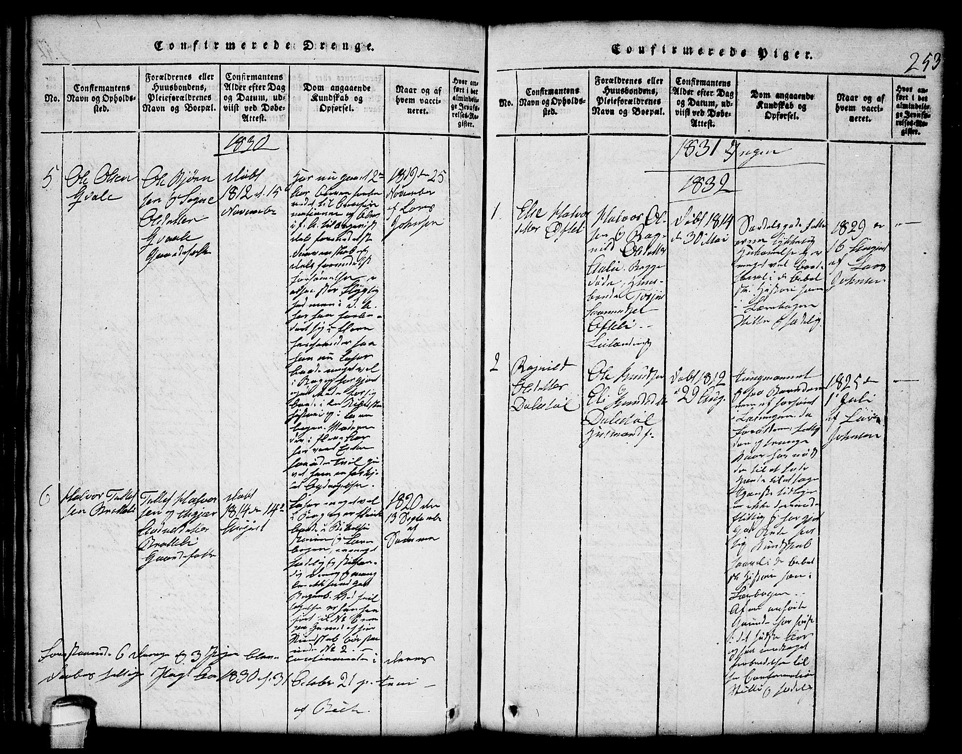 Lårdal kirkebøker, SAKO/A-284/G/Gc/L0001: Parish register (copy) no. III 1, 1815-1854, p. 253