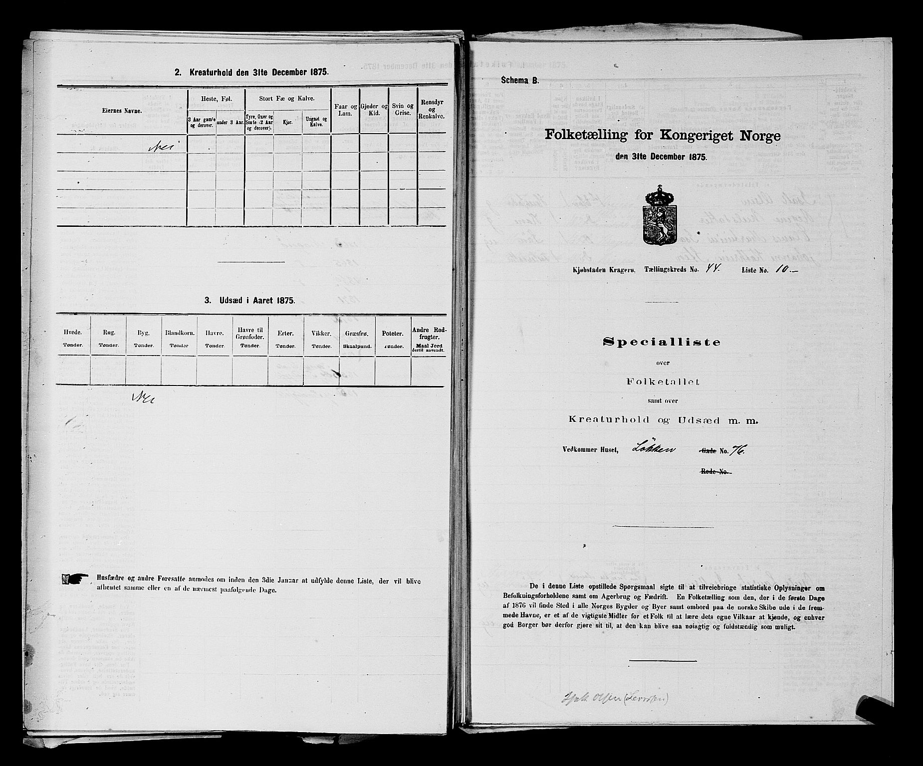 SAKO, 1875 census for 0801P Kragerø, 1875, p. 982