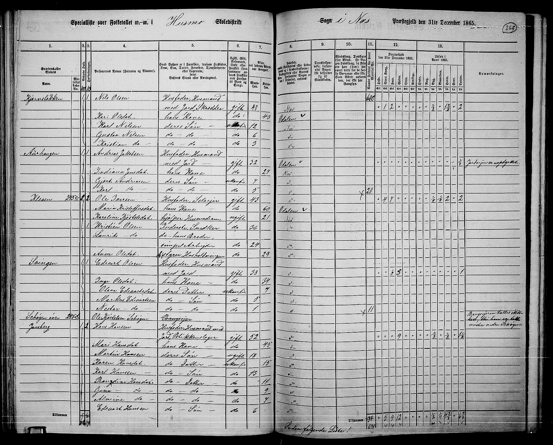 RA, 1865 census for Nes, 1865, p. 251