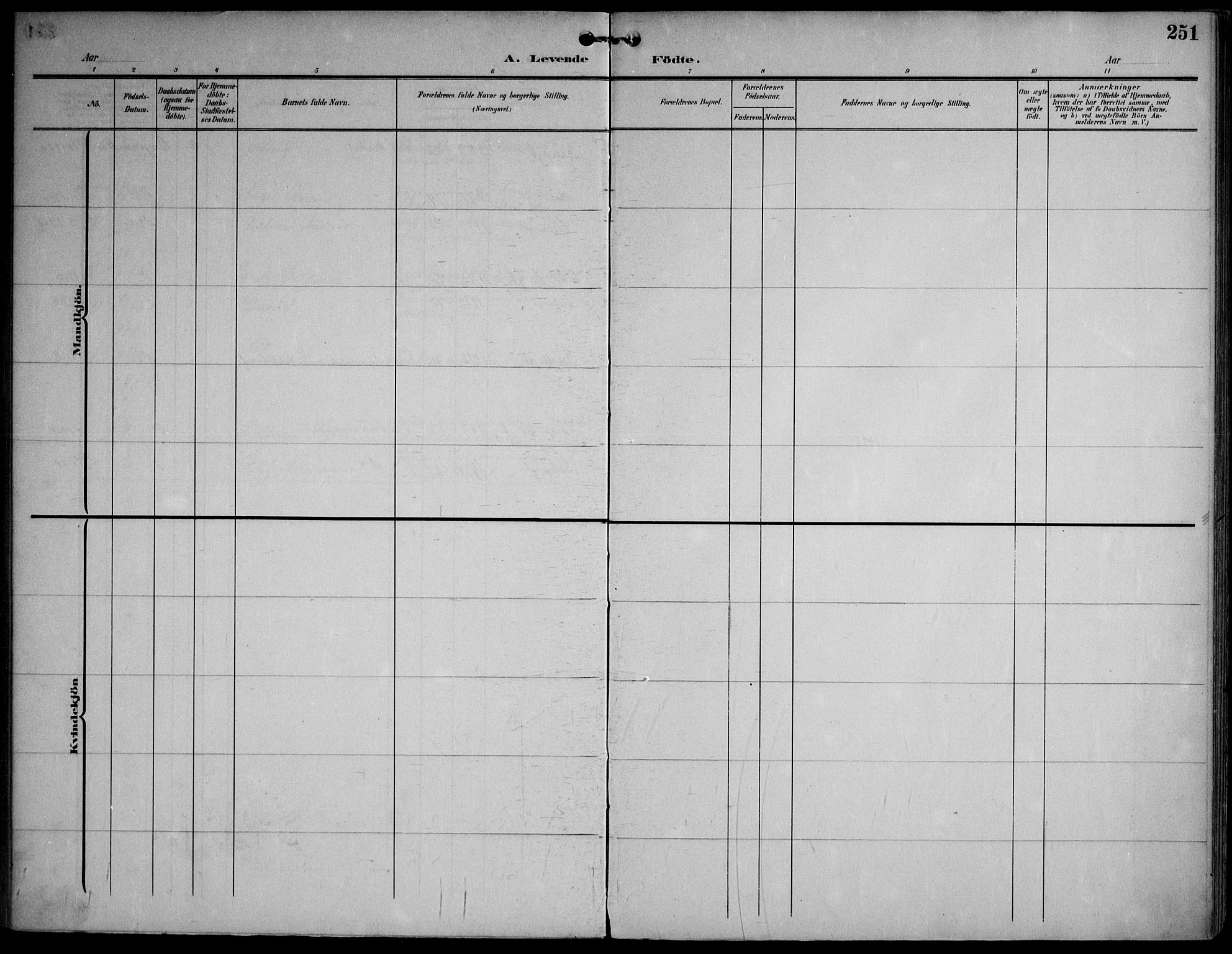 Strømsø kirkebøker, AV/SAKO-A-246/F/Fa/L0026: Parish register (official) no. I 26, 1905-1914, p. 251