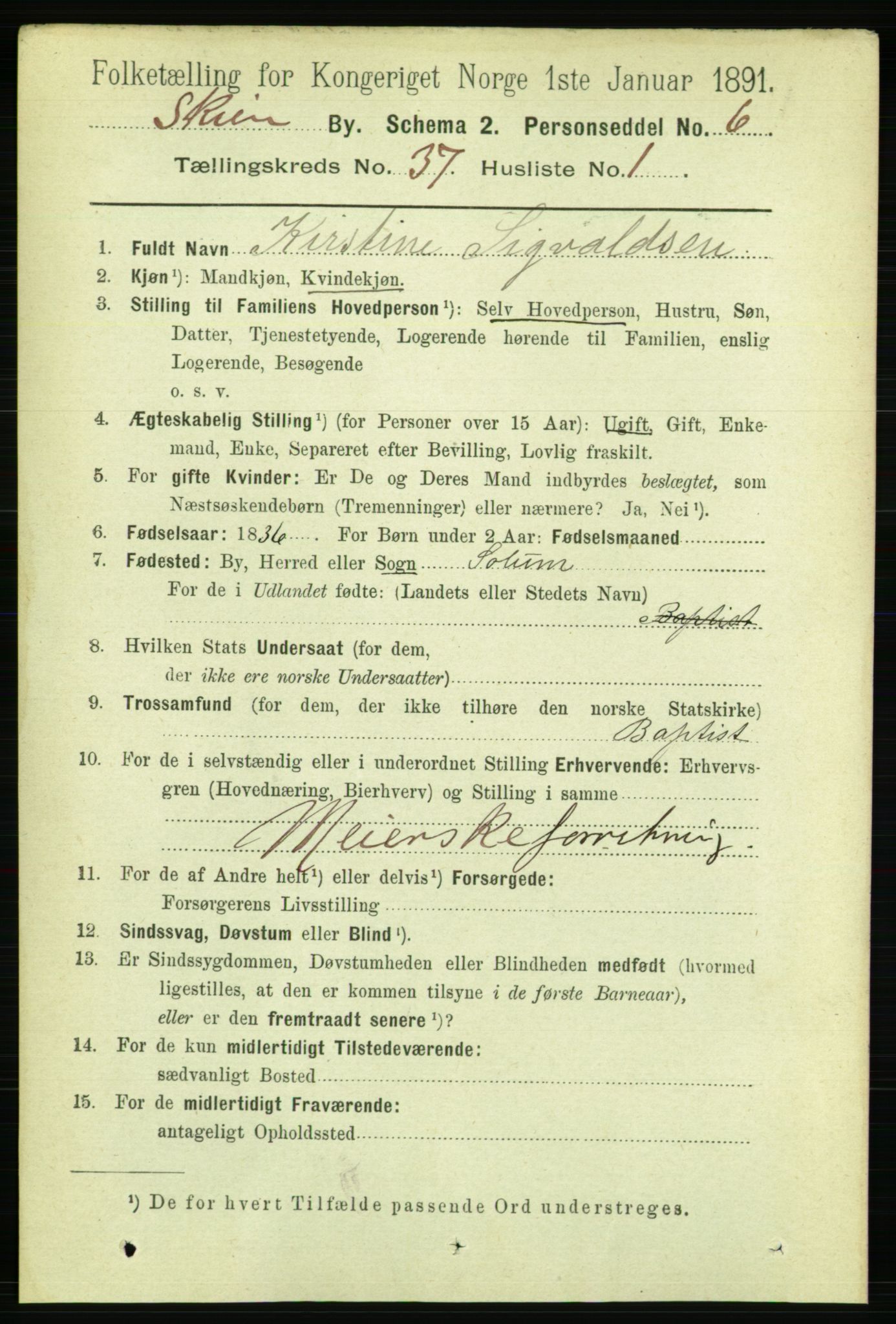 RA, 1891 census for 0806 Skien, 1891, p. 8071