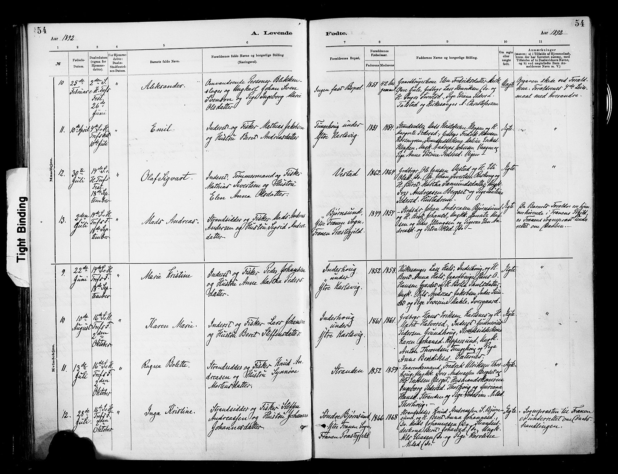 Ministerialprotokoller, klokkerbøker og fødselsregistre - Møre og Romsdal, AV/SAT-A-1454/566/L0769: Parish register (official) no. 566A08, 1881-1903, p. 54