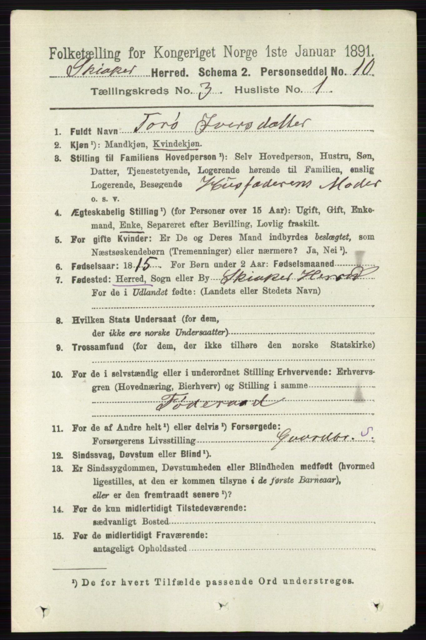 RA, 1891 census for 0513 Skjåk, 1891, p. 958