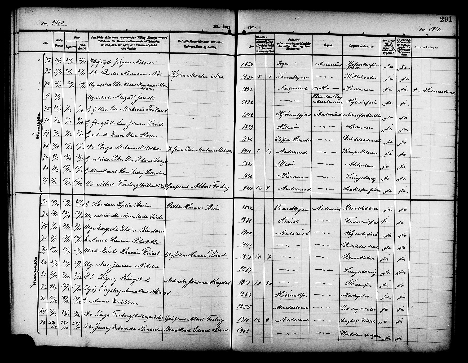 Ministerialprotokoller, klokkerbøker og fødselsregistre - Møre og Romsdal, SAT/A-1454/529/L0470: Parish register (copy) no. 529C07, 1907-1917, p. 291