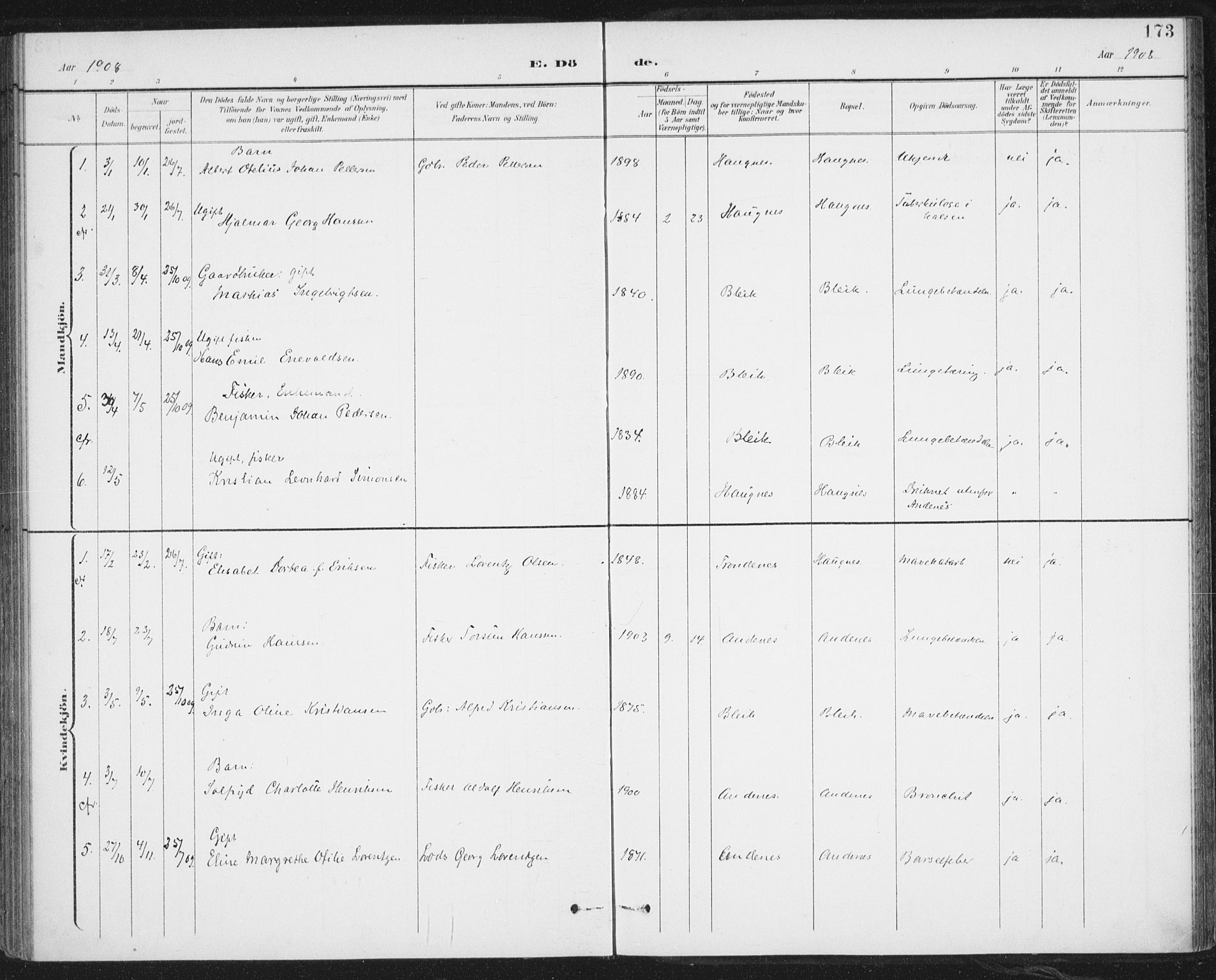 Ministerialprotokoller, klokkerbøker og fødselsregistre - Nordland, SAT/A-1459/899/L1437: Parish register (official) no. 899A05, 1897-1908, p. 173