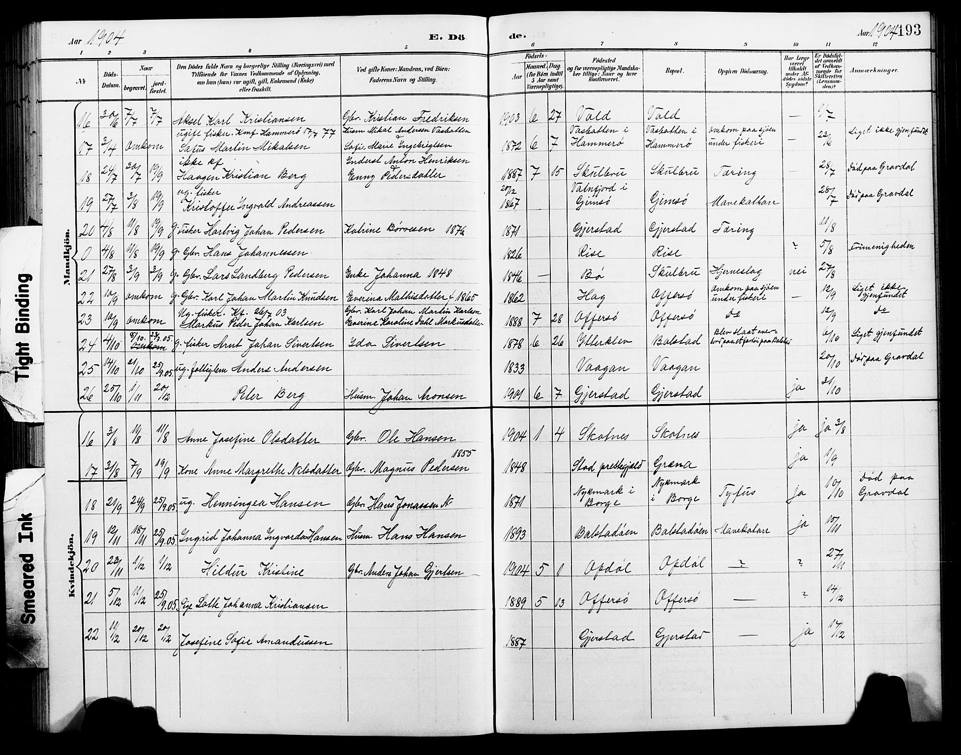 Ministerialprotokoller, klokkerbøker og fødselsregistre - Nordland, AV/SAT-A-1459/881/L1168: Parish register (copy) no. 881C05, 1900-1911, p. 193