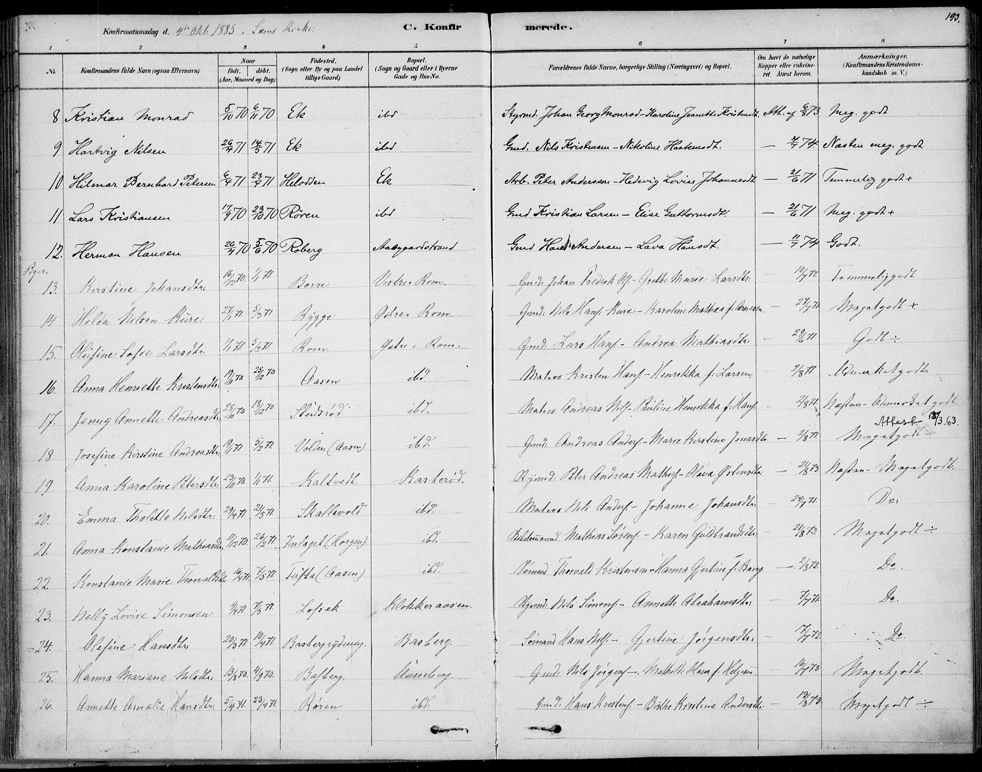 Sem kirkebøker, AV/SAKO-A-5/F/Fb/L0004: Parish register (official) no. II 4, 1878-1891, p. 193