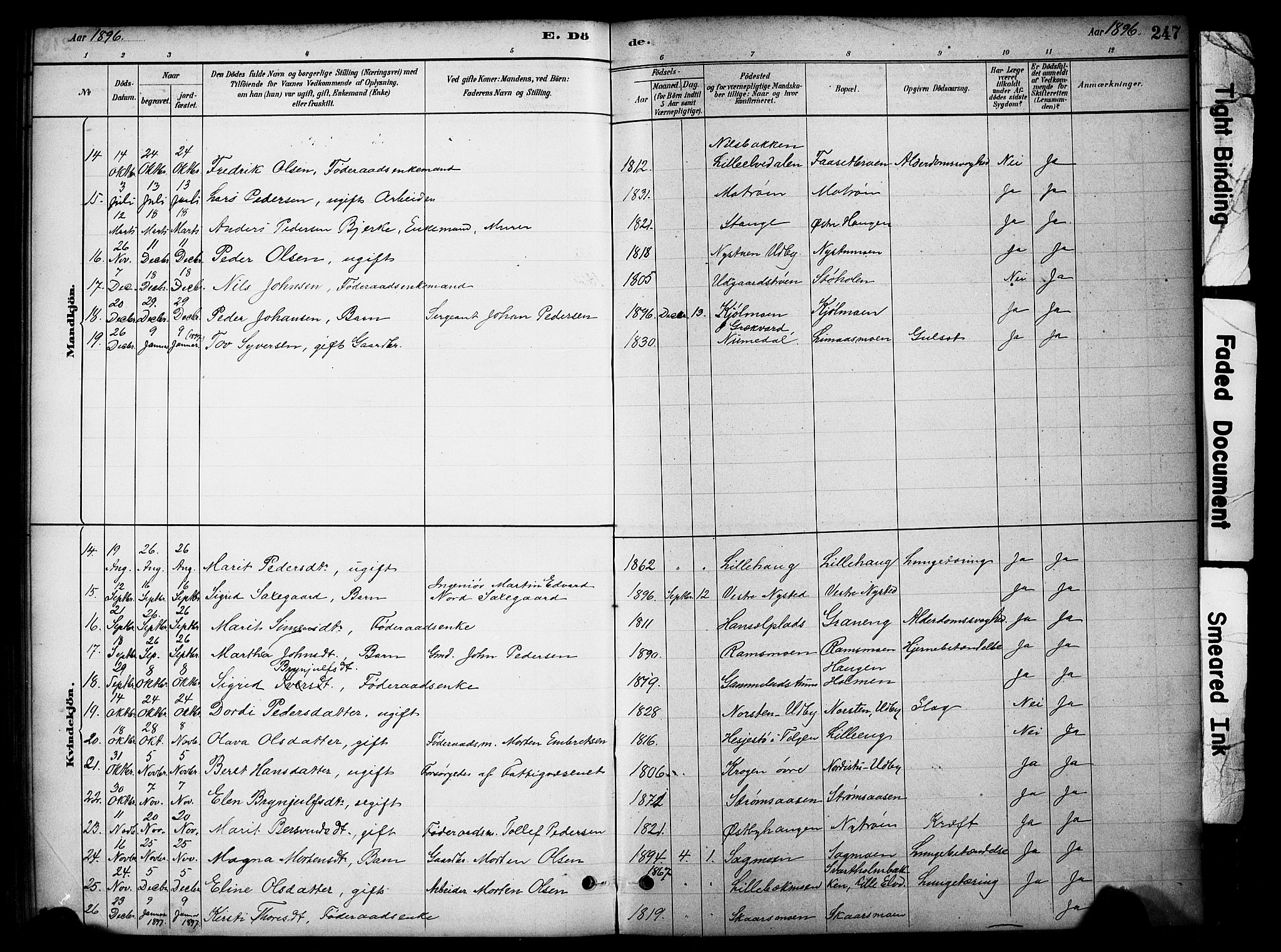 Tynset prestekontor, SAH/PREST-058/H/Ha/Hab/L0006: Parish register (copy) no. 6, 1880-1899, p. 247