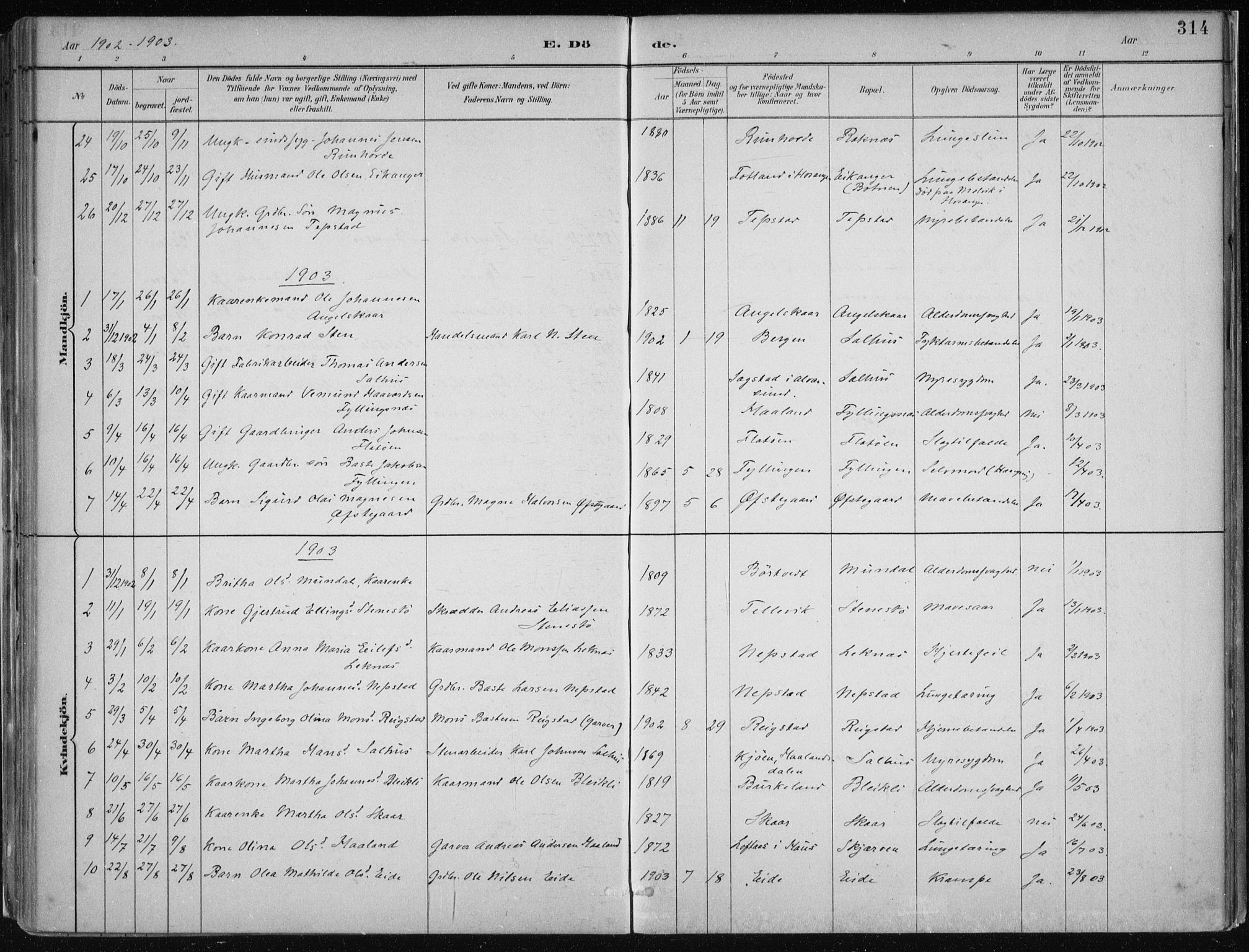Hamre sokneprestembete, SAB/A-75501/H/Ha/Haa/Haab/L0001: Parish register (official) no. B  1, 1882-1905, p. 314