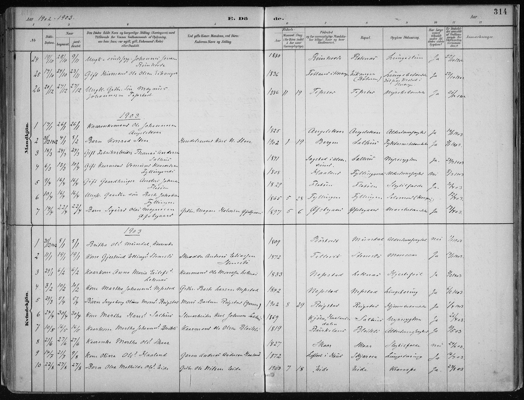 Hamre sokneprestembete, AV/SAB-A-75501/H/Ha/Haa/Haab/L0001: Parish register (official) no. B  1, 1882-1905, p. 314