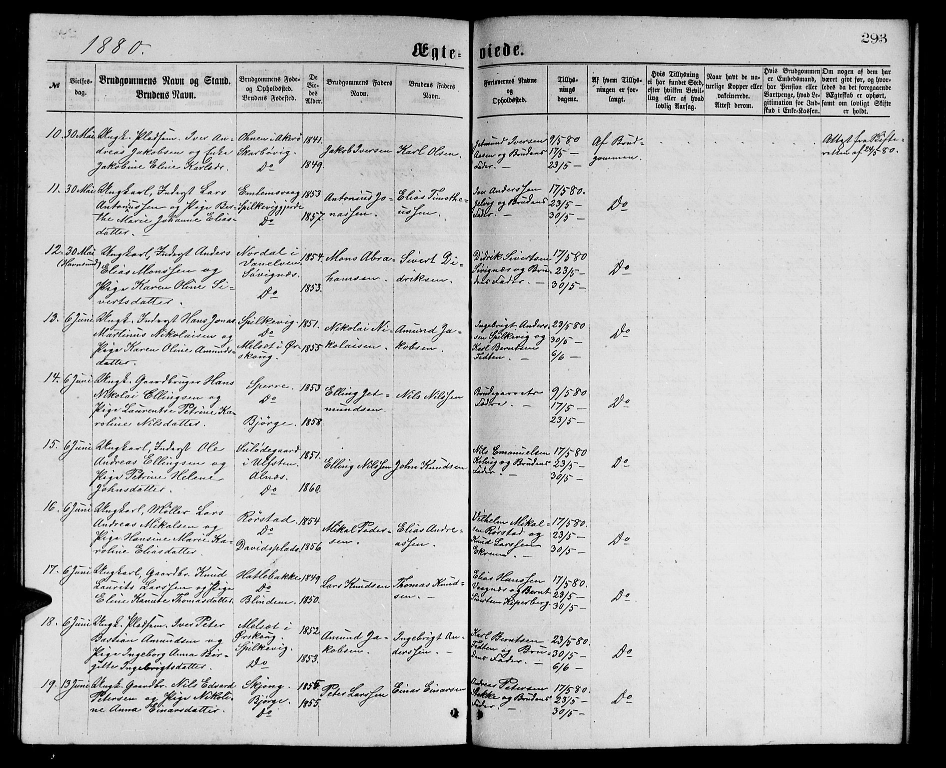 Ministerialprotokoller, klokkerbøker og fødselsregistre - Møre og Romsdal, AV/SAT-A-1454/528/L0429: Parish register (copy) no. 528C10, 1872-1886, p. 293