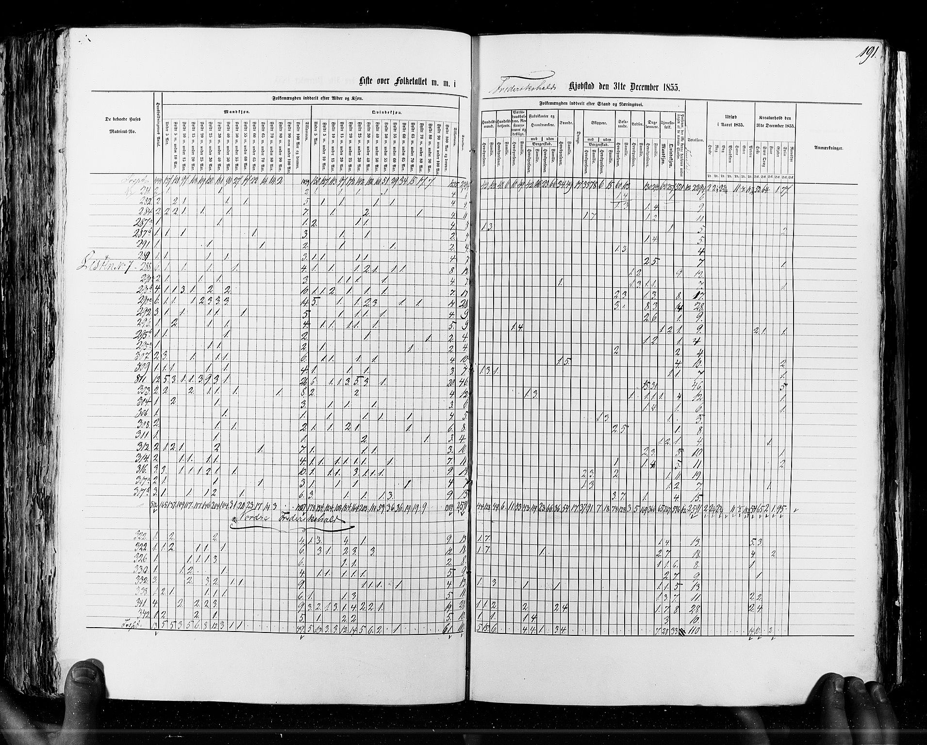 RA, Census 1855, vol. 7: Fredrikshald-Kragerø, 1855, p. 191