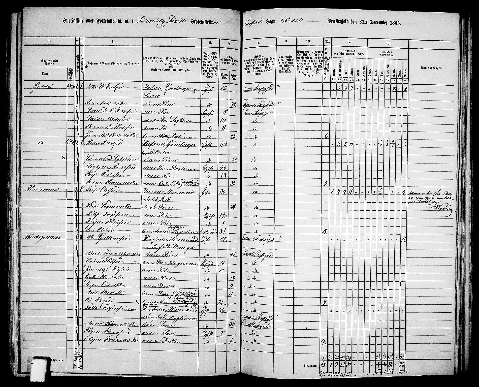 RA, 1865 census for Sirdal, 1865, p. 42