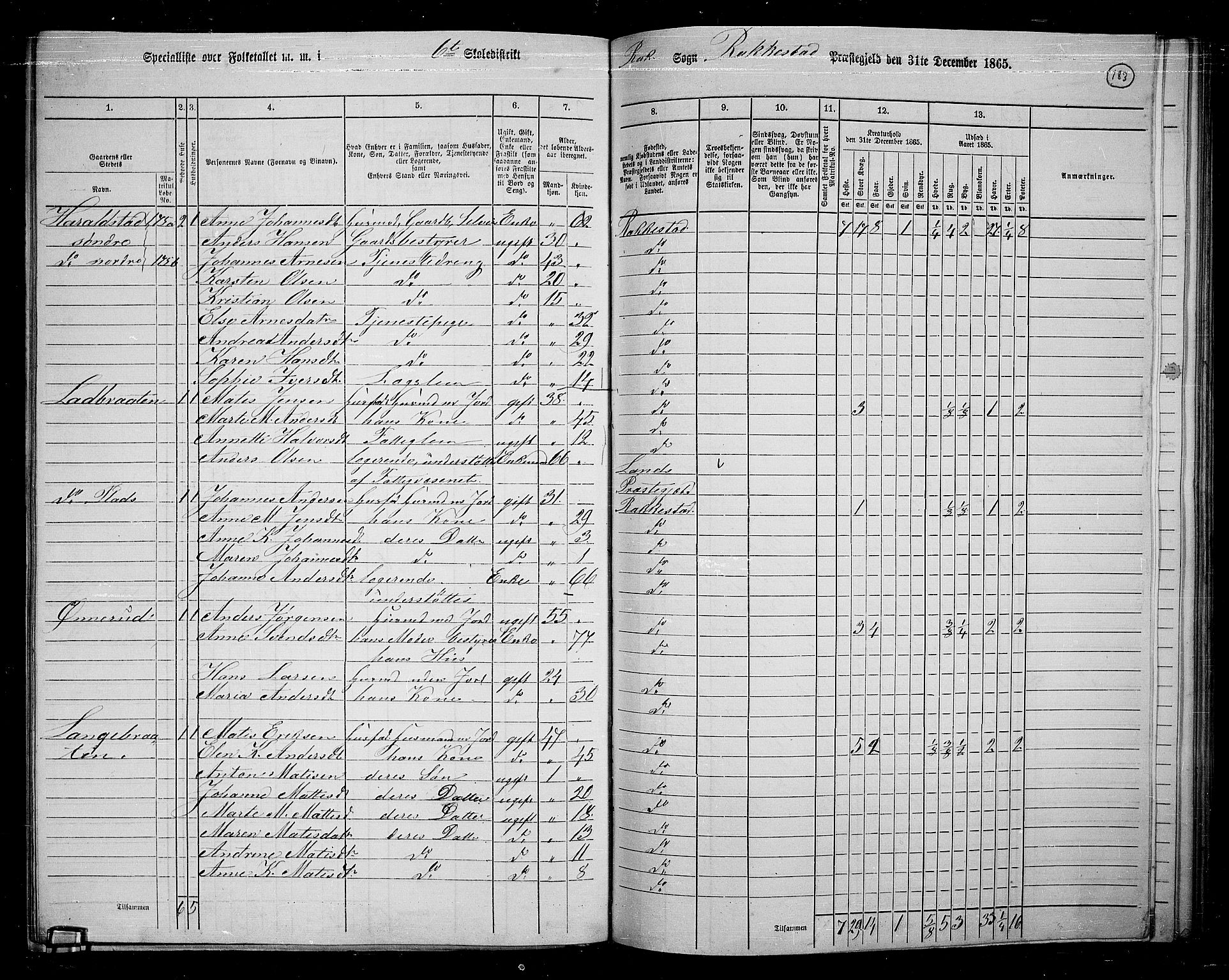 RA, 1865 census for Rakkestad, 1865, p. 175