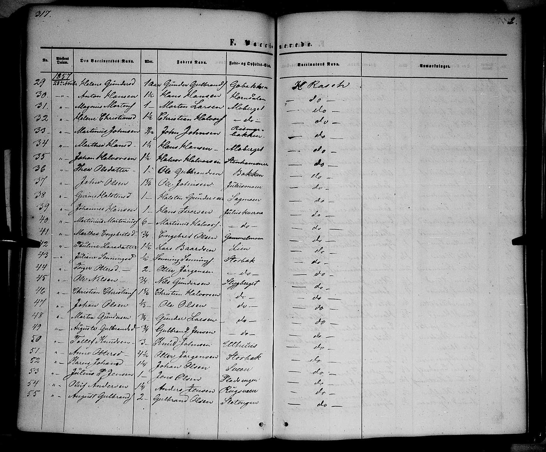 Elverum prestekontor, AV/SAH-PREST-044/H/Ha/Haa/L0010: Parish register (official) no. 10, 1857-1868, p. 317