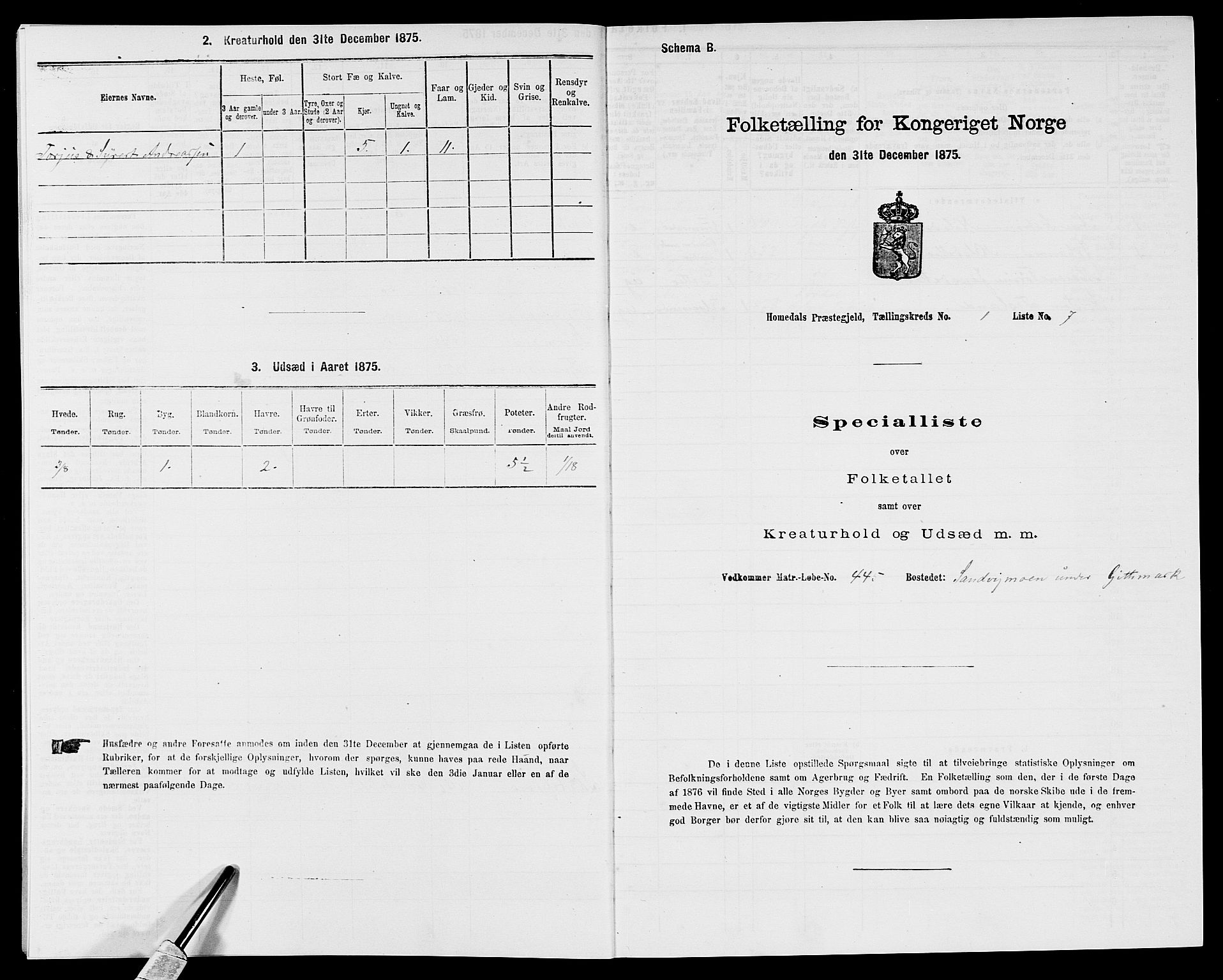 SAK, 1875 census for 0924P Homedal, 1875, p. 29