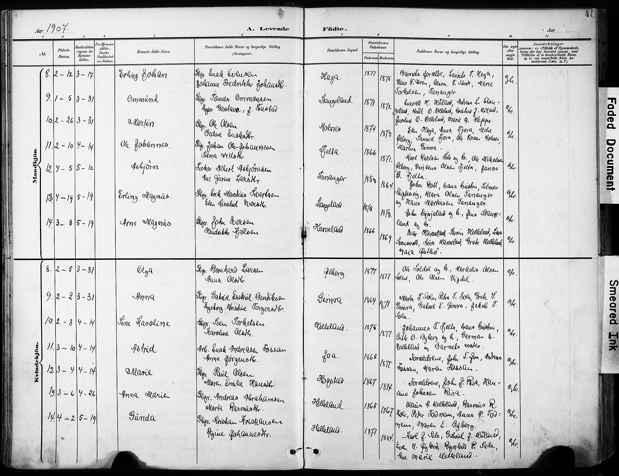 Håland sokneprestkontor, AV/SAST-A-101802/001/30BA/L0013: Parish register (official) no. A 12, 1901-1913, p. 45