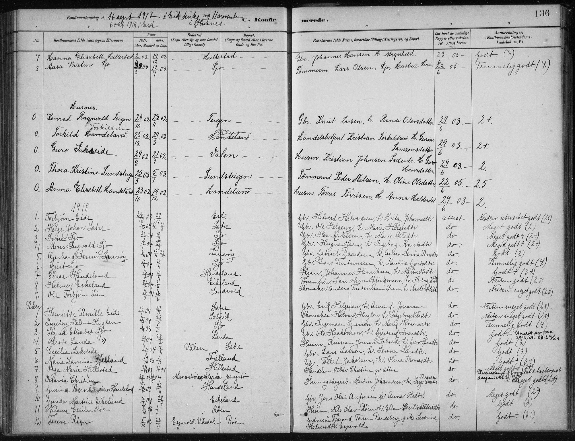 Fjelberg sokneprestembete, SAB/A-75201/H/Haa: Parish register (official) no. C  1, 1879-1918, p. 136
