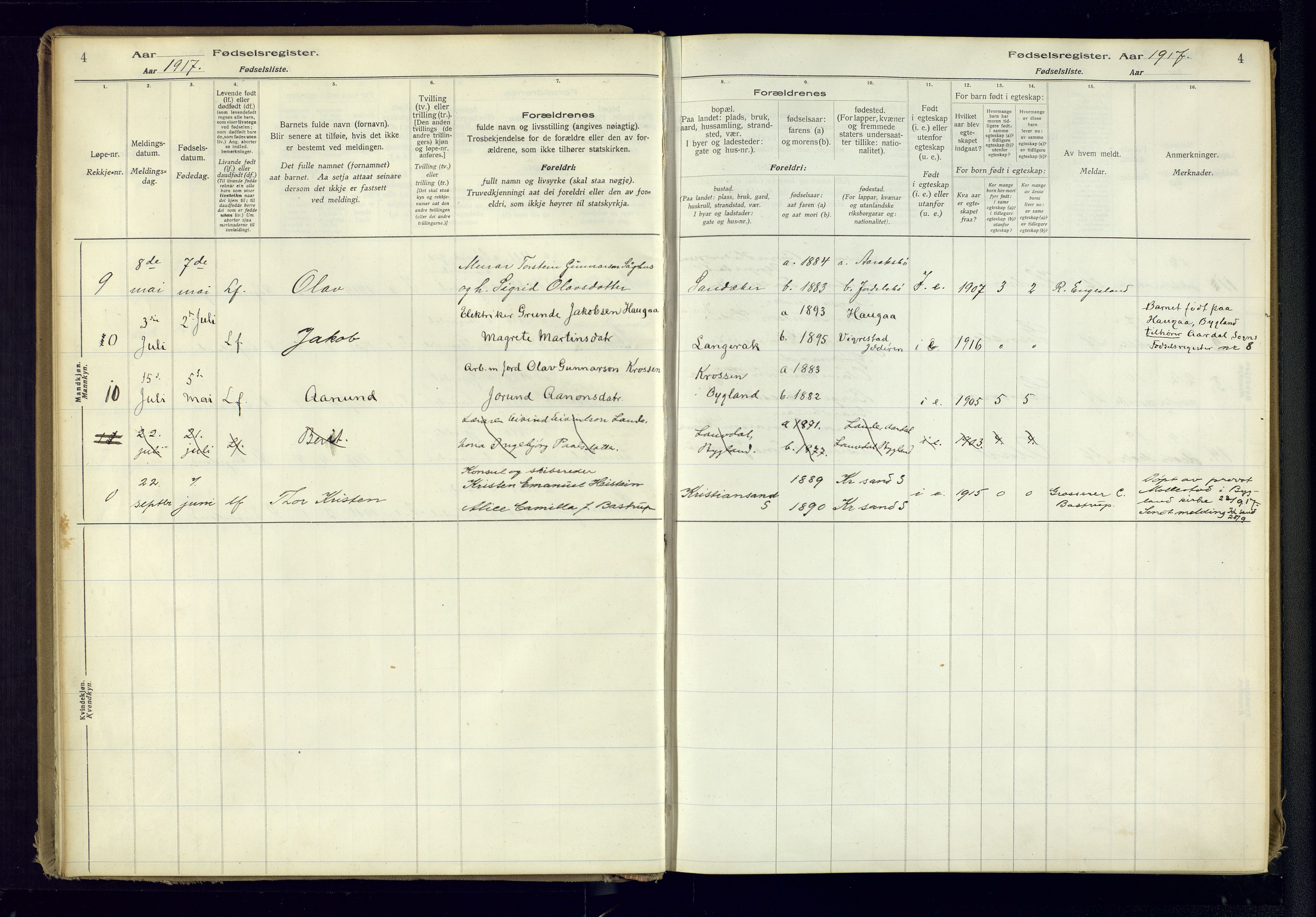 Bygland sokneprestkontor, AV/SAK-1111-0006/J/Ja/L0001: Birth register no. II.4.2, 1916-1982, p. 4