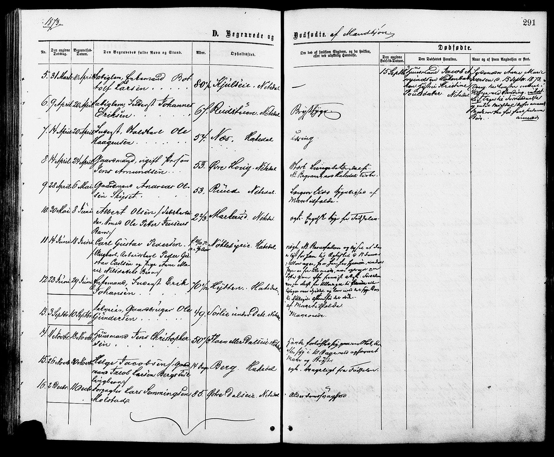 Nittedal prestekontor Kirkebøker, AV/SAO-A-10365a/F/Fa/L0006: Parish register (official) no. I 6, 1863-1878, p. 291