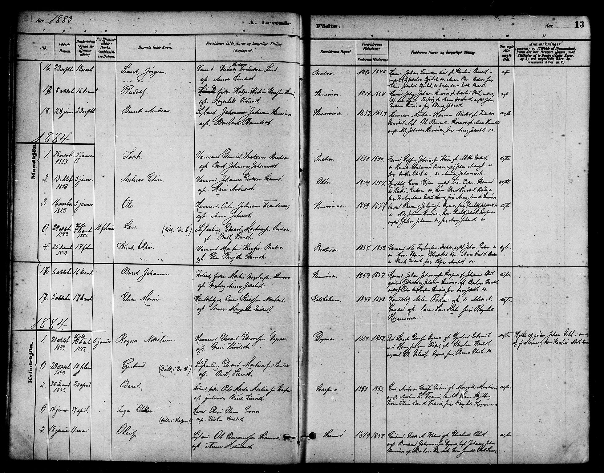 Ministerialprotokoller, klokkerbøker og fødselsregistre - Møre og Romsdal, AV/SAT-A-1454/582/L0947: Parish register (official) no. 582A01, 1880-1900, p. 13