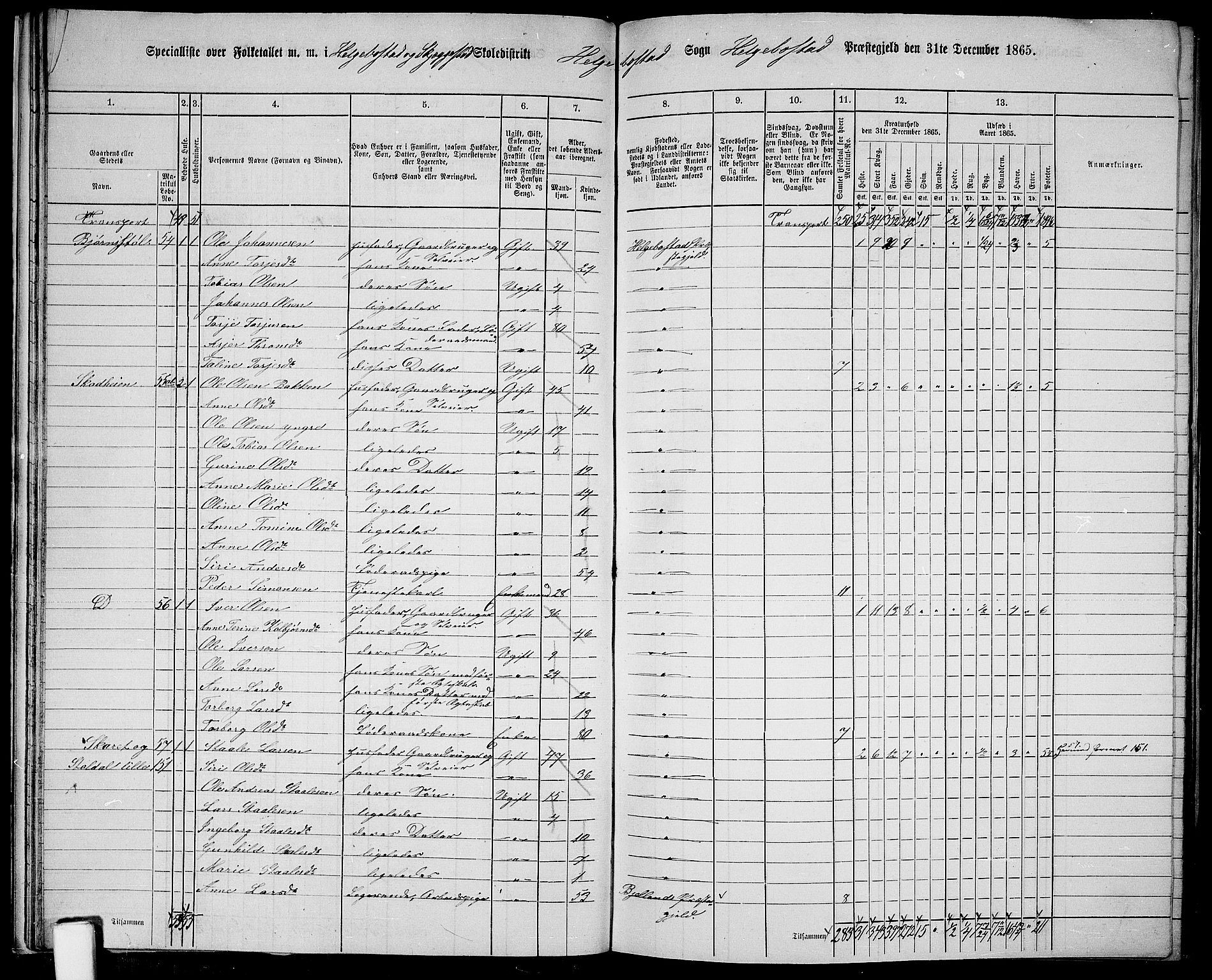 RA, 1865 census for Hægebostad, 1865, p. 29