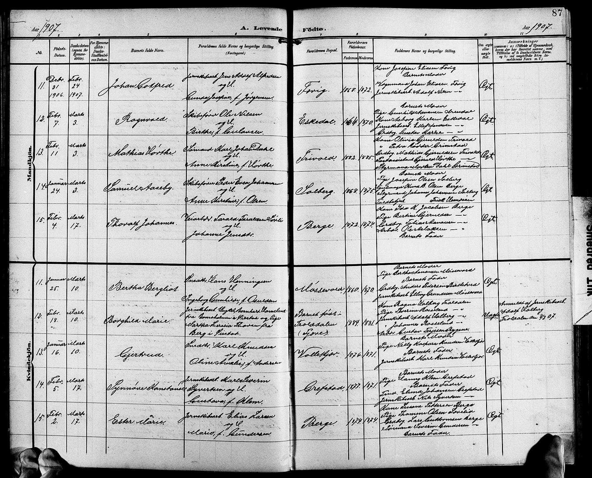 Fjære sokneprestkontor, AV/SAK-1111-0011/F/Fb/L0012: Parish register (copy) no. B 12, 1902-1925, p. 87