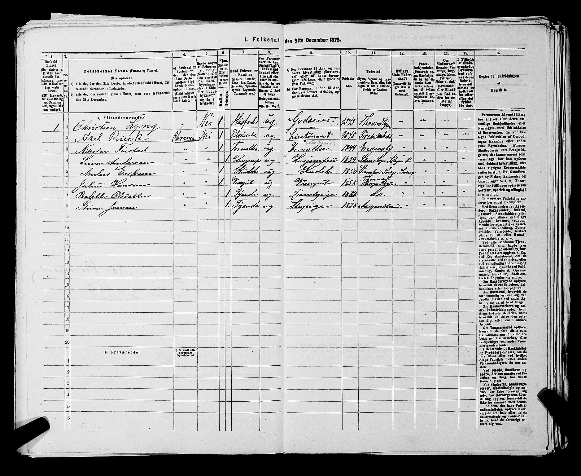 RA, 1875 census for 0113P Borge, 1875, p. 1117