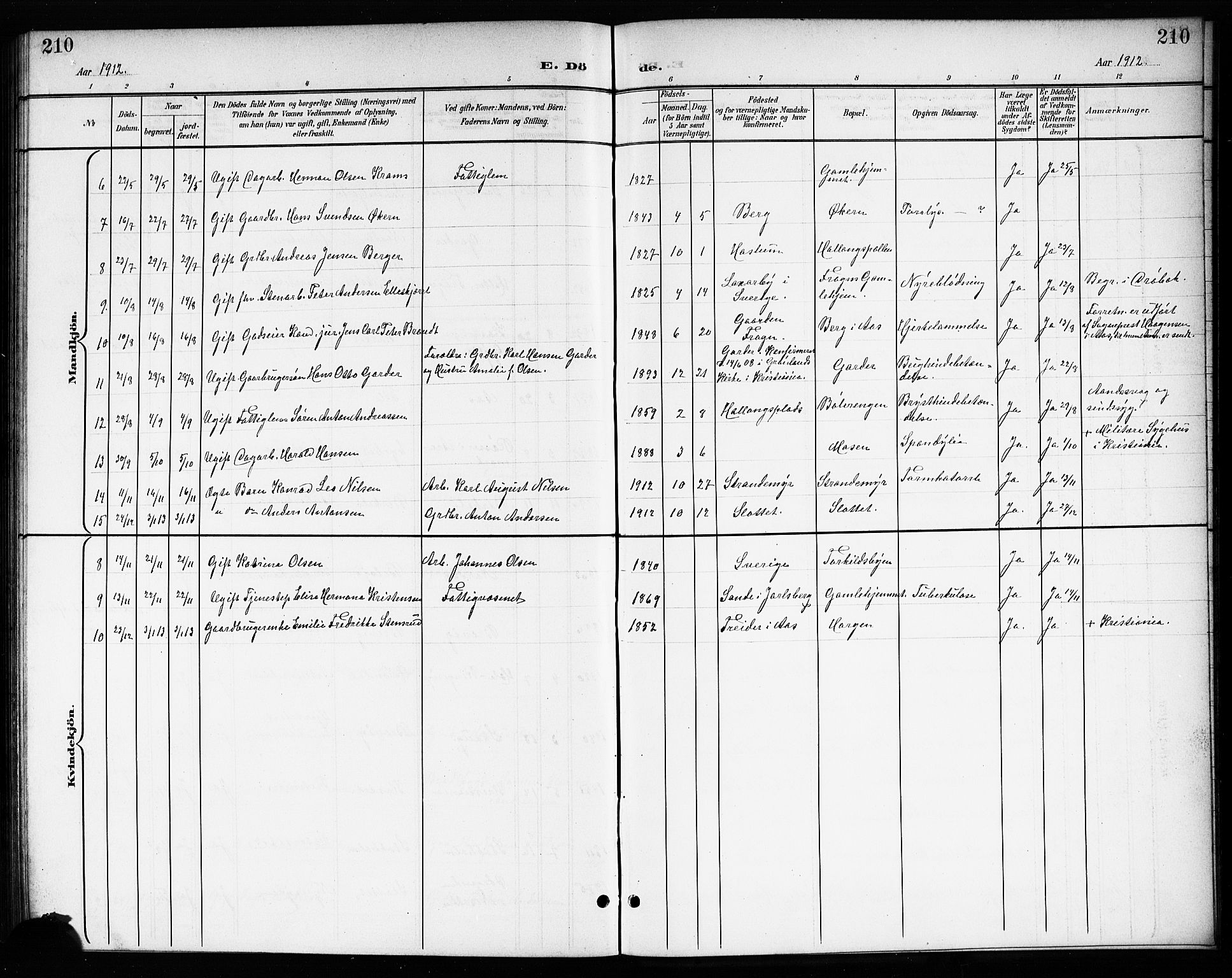 Drøbak prestekontor Kirkebøker, SAO/A-10142a/G/Gb/L0001: Parish register (copy) no. II 1, 1901-1919, p. 210